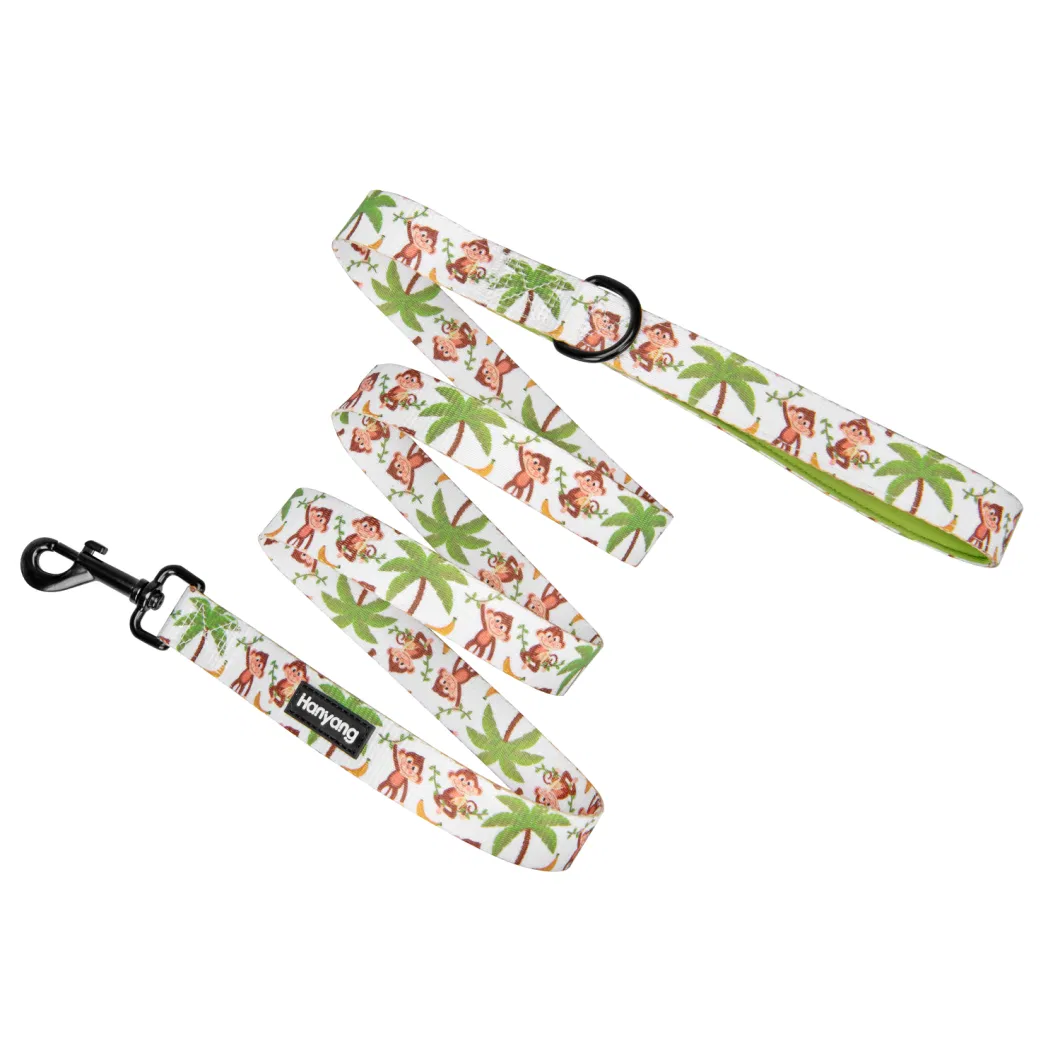 Hanyang Individual Packaging Polyester Customized Professional Supplier Leash Custom Pattern Dog Accessories Pet Products