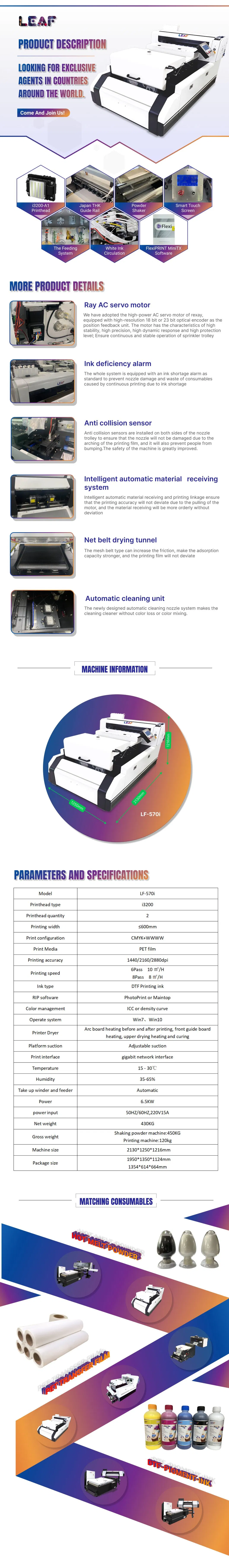DTF Printing on PET Film: The Ultimate Solution for High-Quality T-Shirt Printing