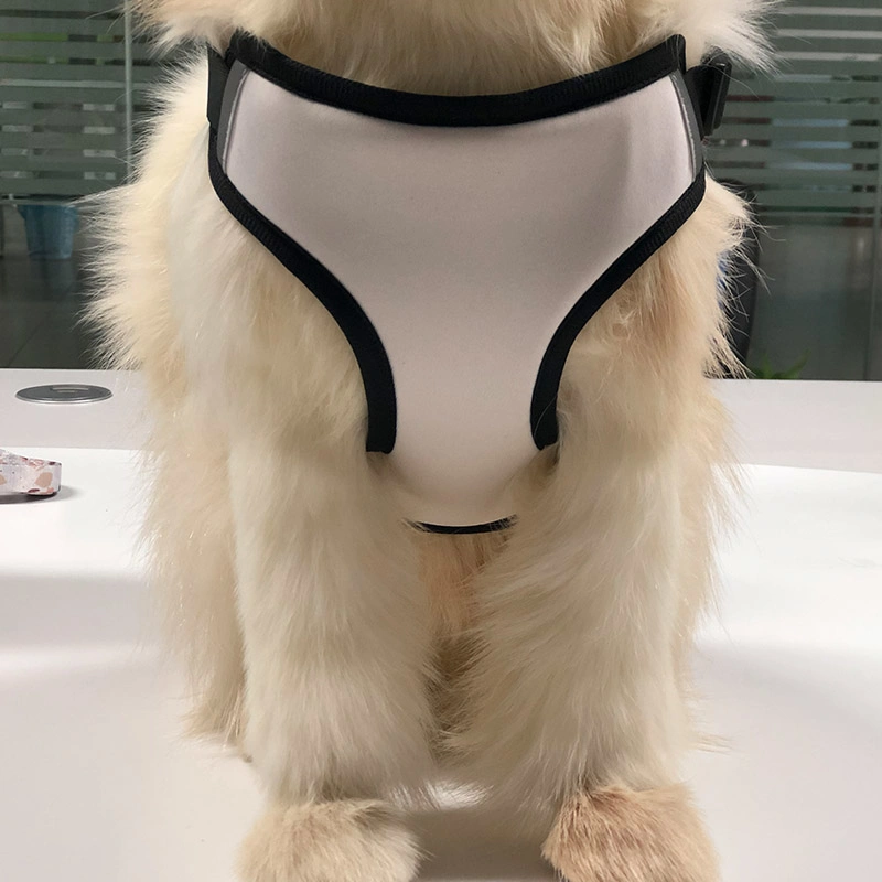 Sex Dog Pet Leash Harness Designer Dog Harness Products