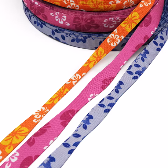 Custom Pattern Heat Transfer Print Polyester Pet Webbing for Dog Leash