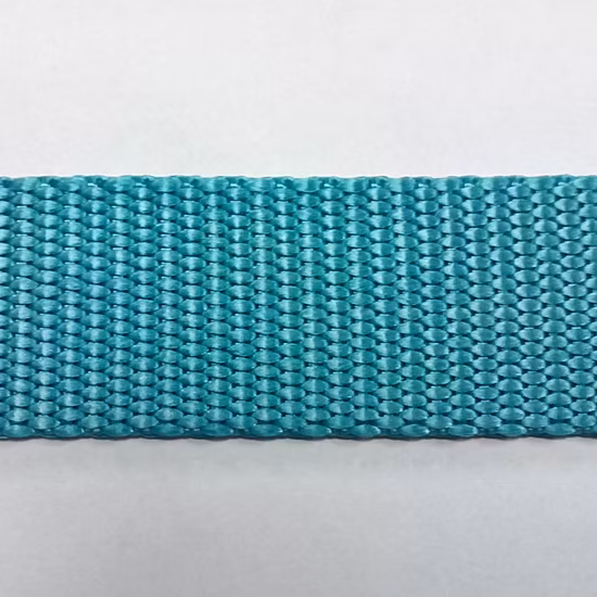 Hot Selling Colorized Nylon / Polyester Webbing for Dog Collars and Leashes
